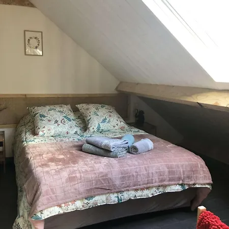 Au Coeur Du Sancy Lejlighed