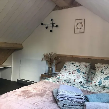 Au Coeur Du Sancy شقة *